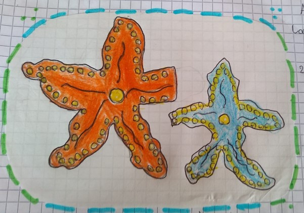 Estrella de mar